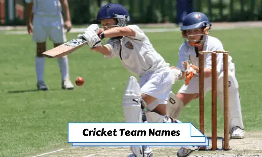 cricket local team names