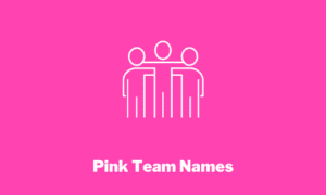 Pink Team Names