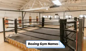 Boxing Gym Names