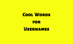 482 Cool Words for Usernames [Aesthetic, Short, Unique Usernames]