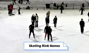 Skating Rink Names