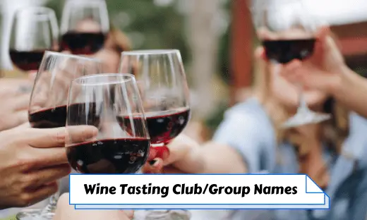 Wine Tasting Club Group Names
