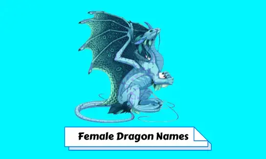 400 Dragon Team Names Ideas and Suggestions