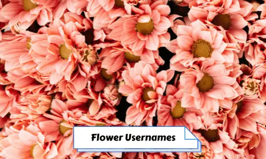 Flower Usernames