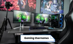 Gaming Usernames