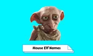 House Elf Names