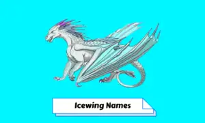 Icewing Names