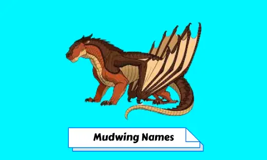Mudwing Names