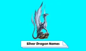 Silver Dragon Names