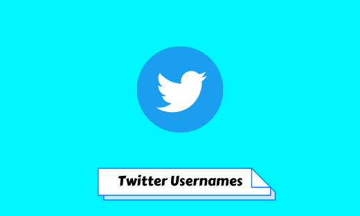 Twitter Usernames