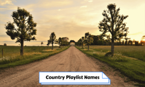 Country Playlist Names