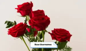 Rose Usernames
