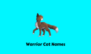 Warrior Cat Names