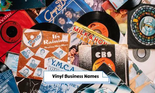 Vinyl Business Names