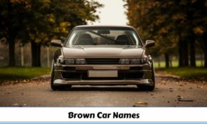 Brown Car Names