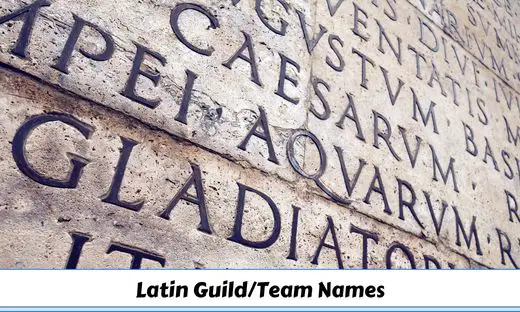 Latin Guild Team Names