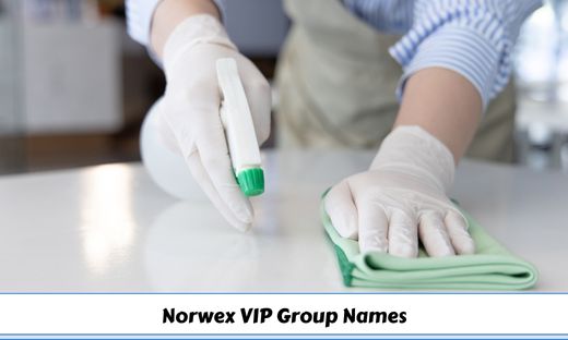 Norwex VIP Group Names