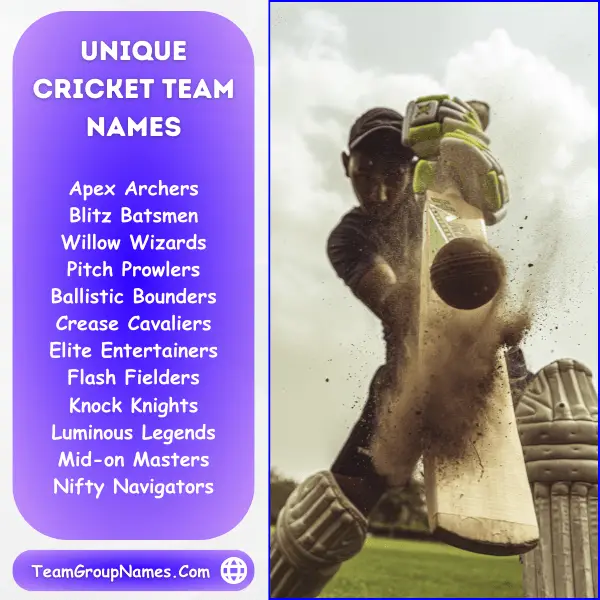 Unique Cricket Team Names
