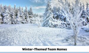 Winter-Themed Team Names