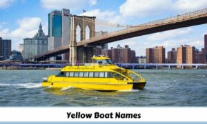 Yellow Boat Names