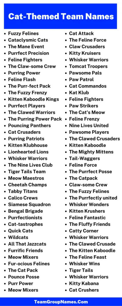 Cat-Themed Team Name Ideas