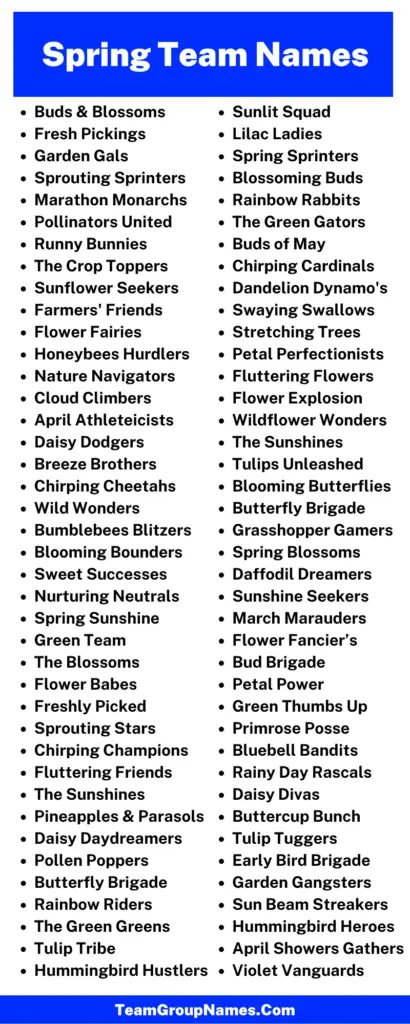 224+ Spring Team Names for Every Spring Activity