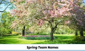 Spring Team Names