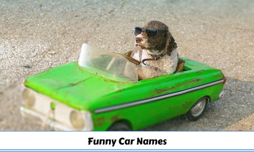 Funny Car Names