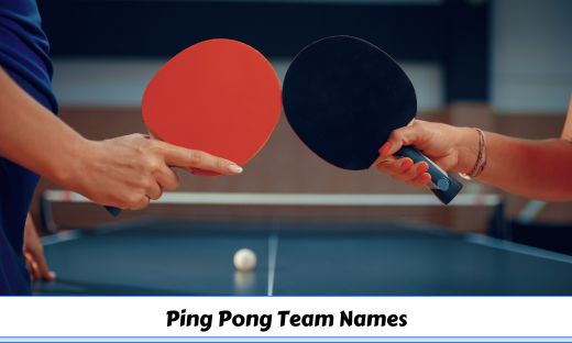 Ping Pong Team Names