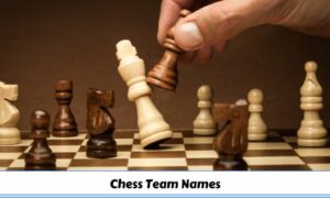 Chess Team Names