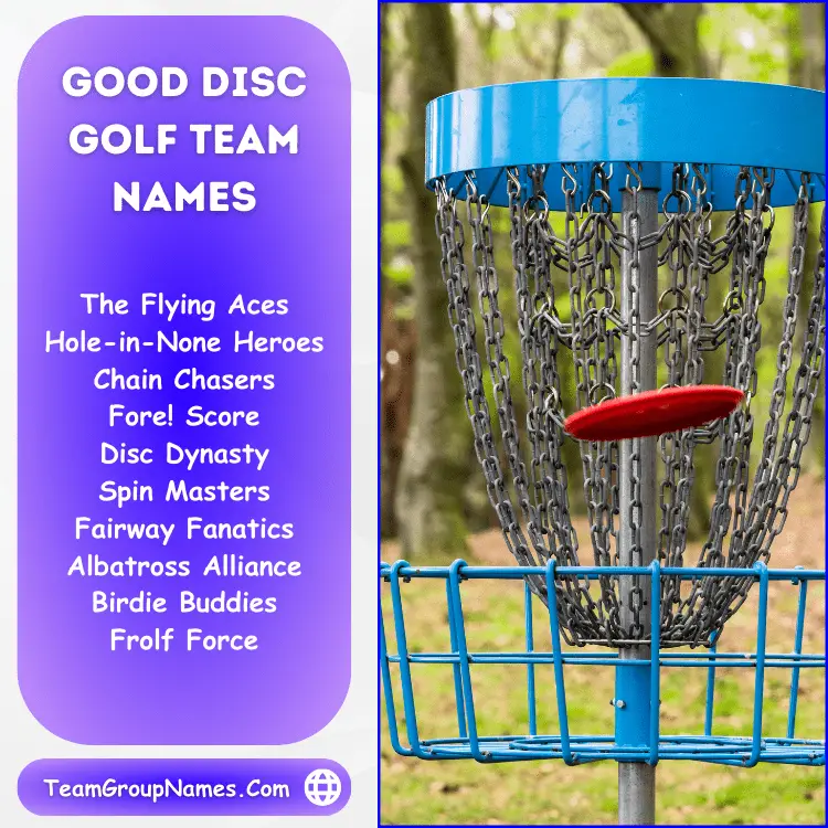 Good Disc Golf Team Names