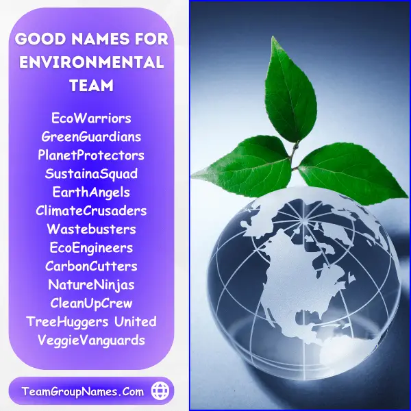 Good Names For Environmental Team