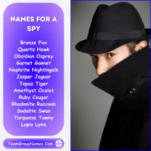 Spy Team Names Spy Name Ideas Good Cool Fun