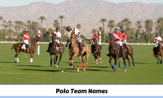 Polo Team Names