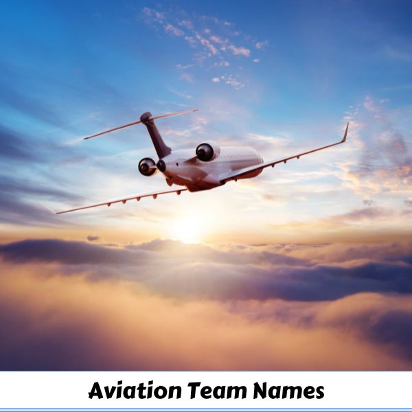 Aviation Team Names