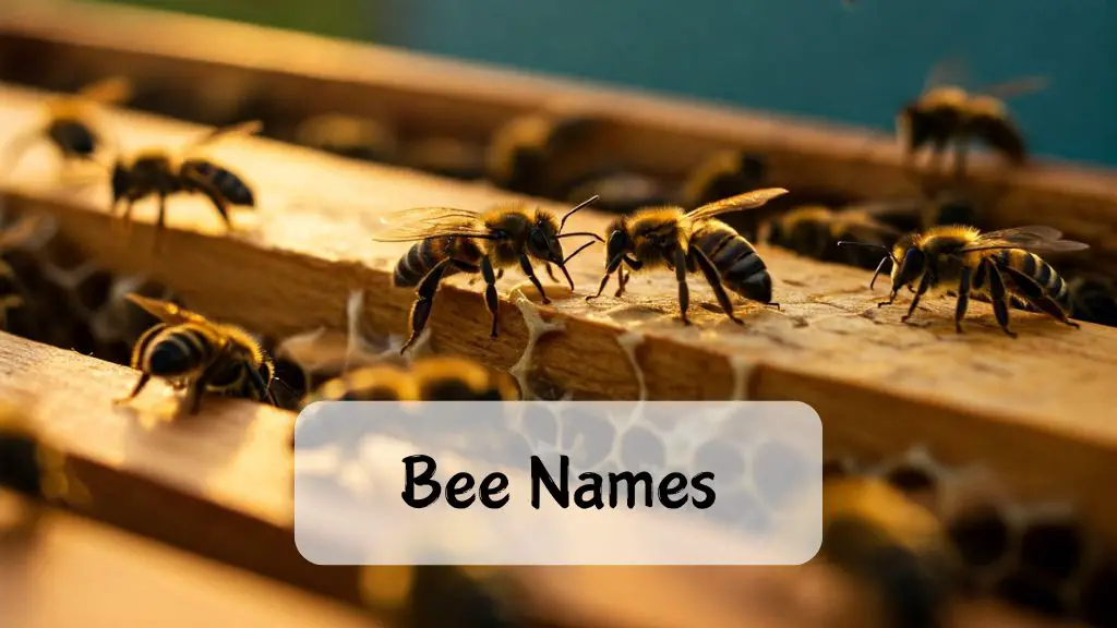 Bee Names