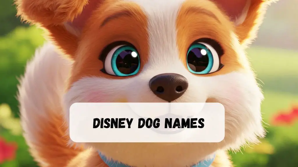 Disney Dog Names
