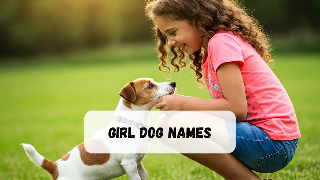 Girl Dog Names