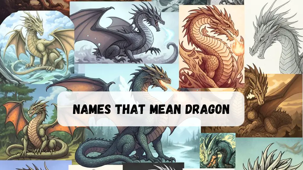 Names That Mean Dragon
