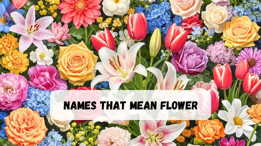 Names That Mean Flower