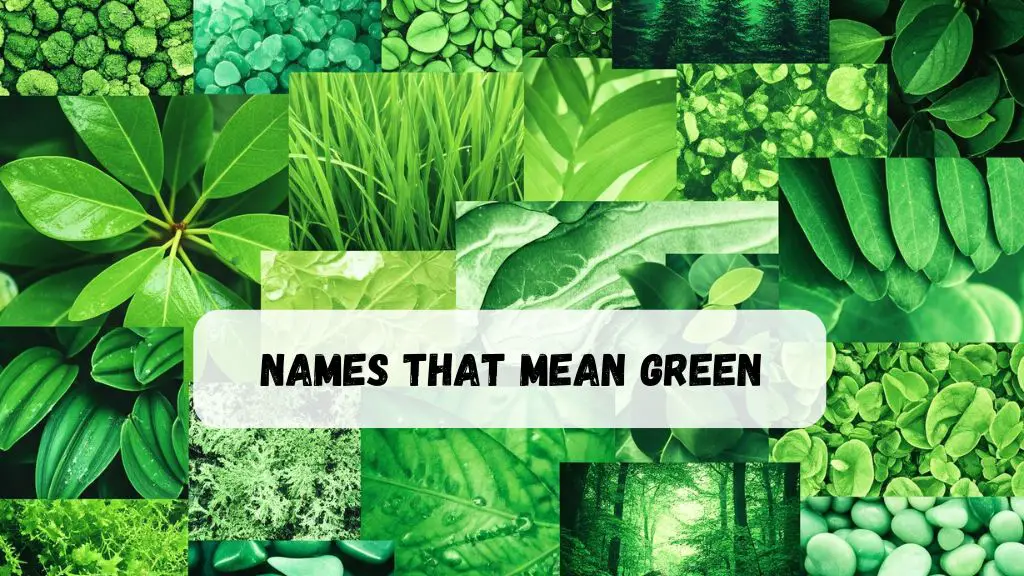 Names That Mean Green