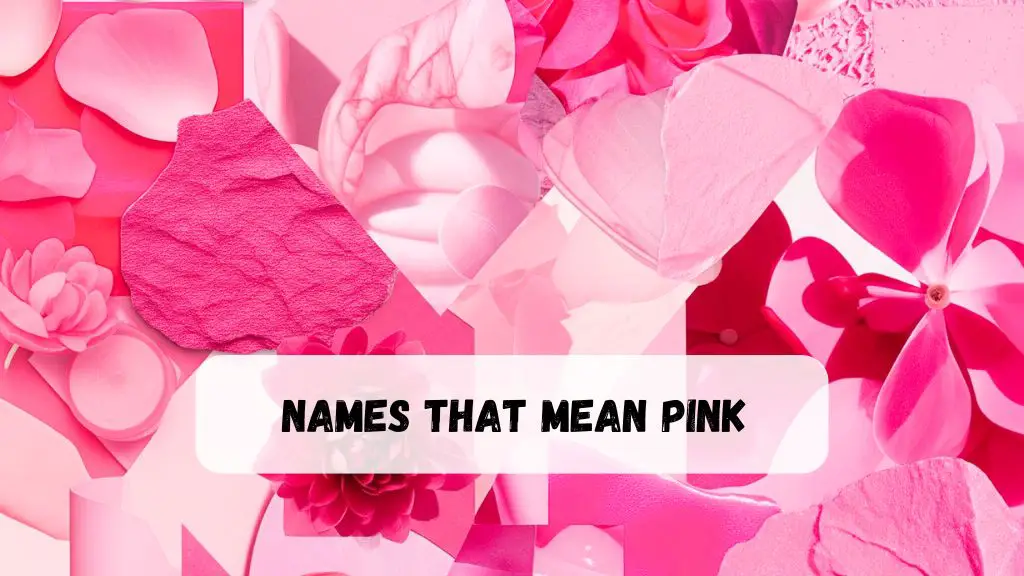 Names That Mean Pink