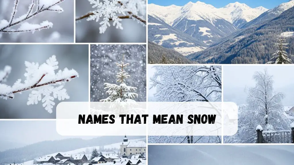 Names That Mean Snow