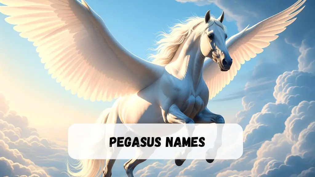 Pegasus Names