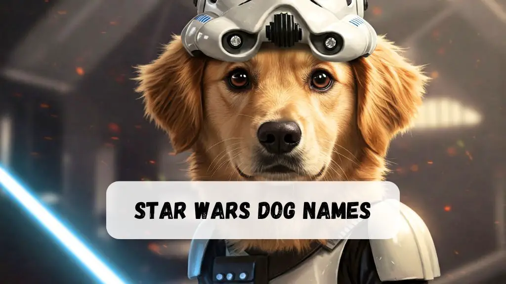 Star Wars Dog Names