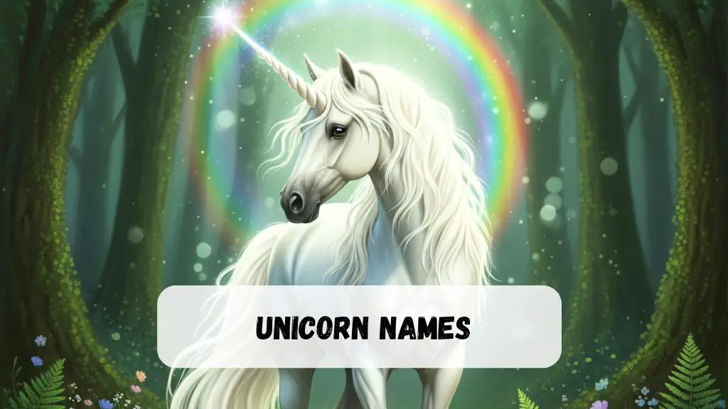 Unicorn Names