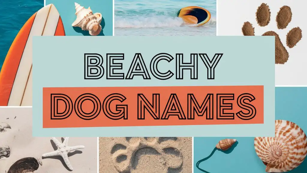 Beachy Dog Names