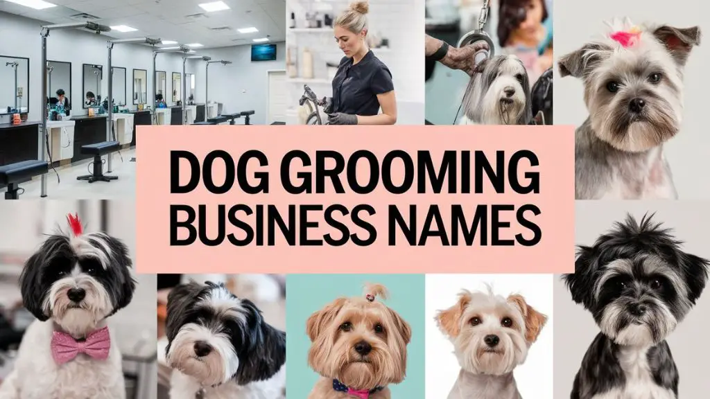 Dog Grooming Business Names