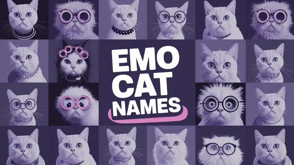 Emo Cat Names