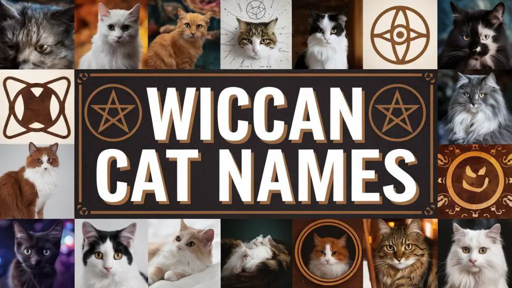 Wiccan Cat Names